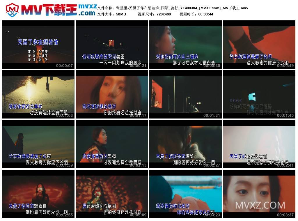 张里里-天黑了你在想着谁_国语_流行_YF400384